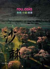 沙棘油功效作用与主治