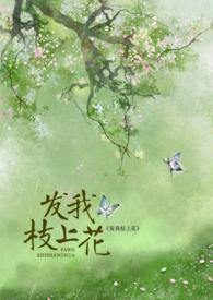 发我枝上花简介