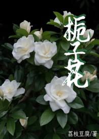 栀子花 (父女1v1)最