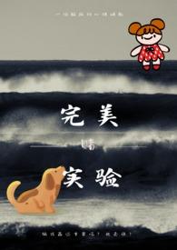 完美实验海龟蘑菇汤