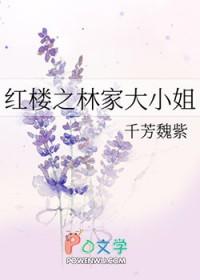 红楼之林家二爷全文免费阅读