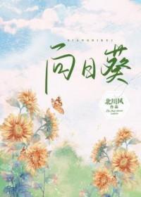 向日葵披露2025年及一季报