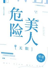 危险美学完整版txt