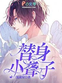 替身小傻子有声