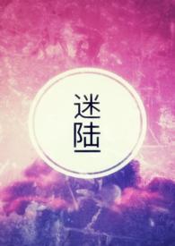 迷陆大雾官网