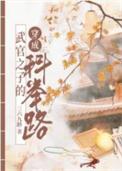 武官子的科举青云路讲的什么