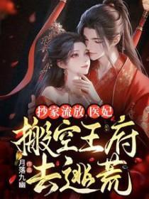抄家流放医妃搬空王府去逃荒短剧合集
