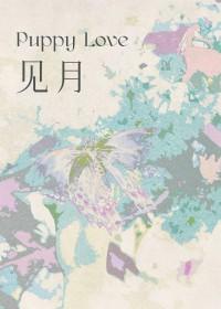 见月如见你