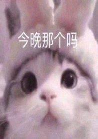 可乐买10听赠3听