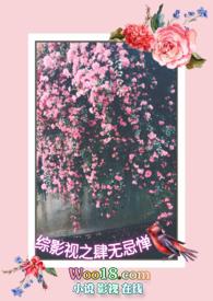 综影视之四爷