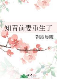 知青前妻重生了沈海洋
