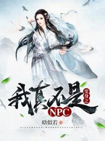 我真的不是npc起点