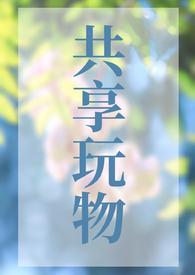 共享玩物(n)笔趣阁无弹窗双男主