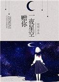 赠你一夜星空第二册免费阅读