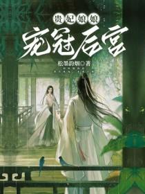 贵妃娘娘意思