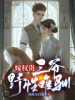嫁权臣全文免费阅读叶十四