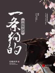 一条狗的使命 知乎