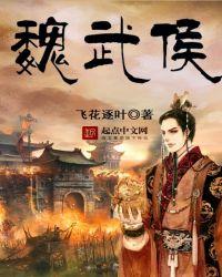 魏武侯名字