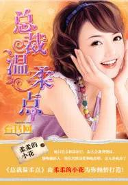 总裁的温柔宠