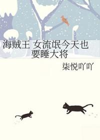 海贼王 女流氓今天也要睡大将