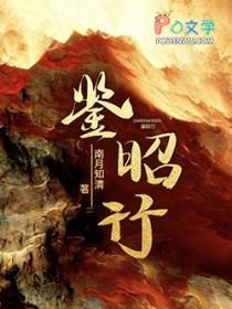 鉴昭行全本txt