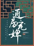 通房宠讲什么