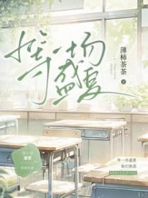 等一场盛夏笔趣阁