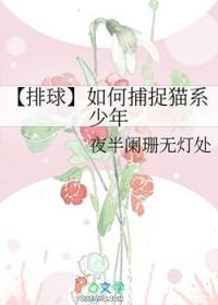 [排球bg