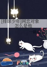 排球少年的情侣