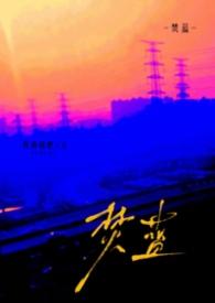 焚书在线阅读