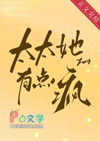 太太她有点疯txt