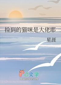 捡到猫好吗?