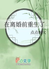 离婚前