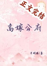 高嫁公府txt月明珠