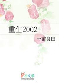 重生2002短剧免费观看全集