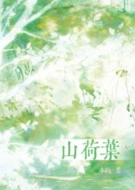 山荷叶作用