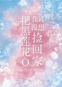 我真没想把黑莲花O捡回家 鸽子不会咕咕咕 免费