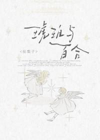 he琥珀怎么样