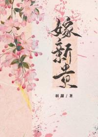 嫁新贵意己