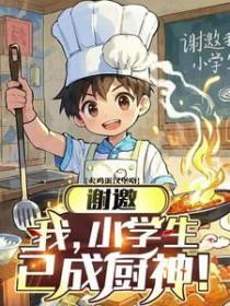 已成厨神txt