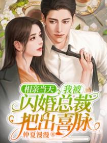 相亲闪婚的全部