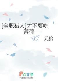 全职猎人 bl