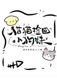 捡回一只小猫