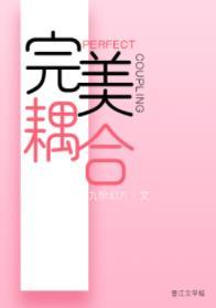 完美偶像全文免费阅读