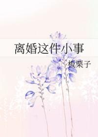 离婚这件小事板栗子