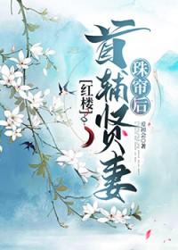 红楼首辅贤妻珠帘后百度