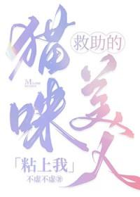 美国猫咪救小主人