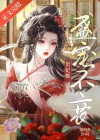 盛宠皇贵妃