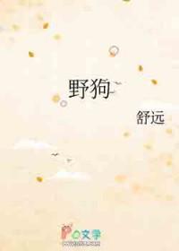 野狗在门口拉屎怎么办