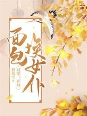 双穿开局面包换女仆林晨短剧在线观